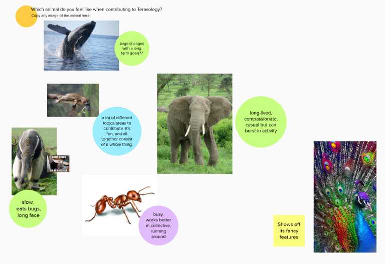 Which animal do I feel like when contributing to Terasology?